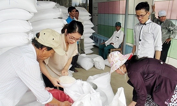 Xuất cấp gạo dự trữ quốc gia cho 3 tỉnh bị thiên tai, mưa lũ Xuất cấp gạo dự trữ quốc gia cho 3 tỉnh bị thiên tai, mưa lũ