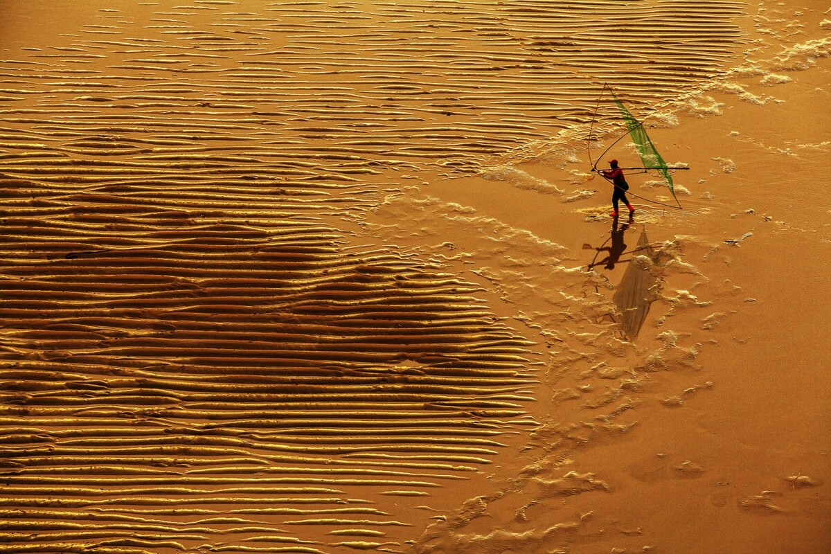 Photo taken in Vietnam shortlisted in international contest Photo taken in Vietnam shortlisted in international contest