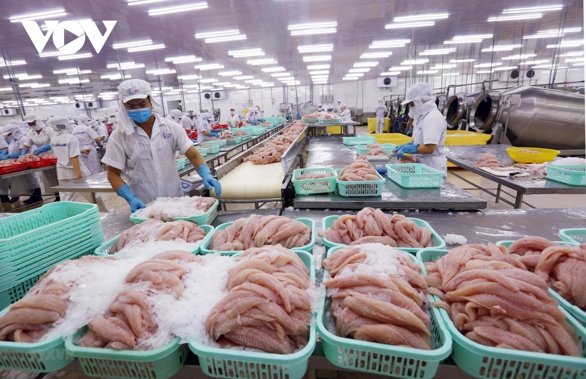 Vietnam- Egypt trade turnover expected to reach US$1 billion in next years 3619 2