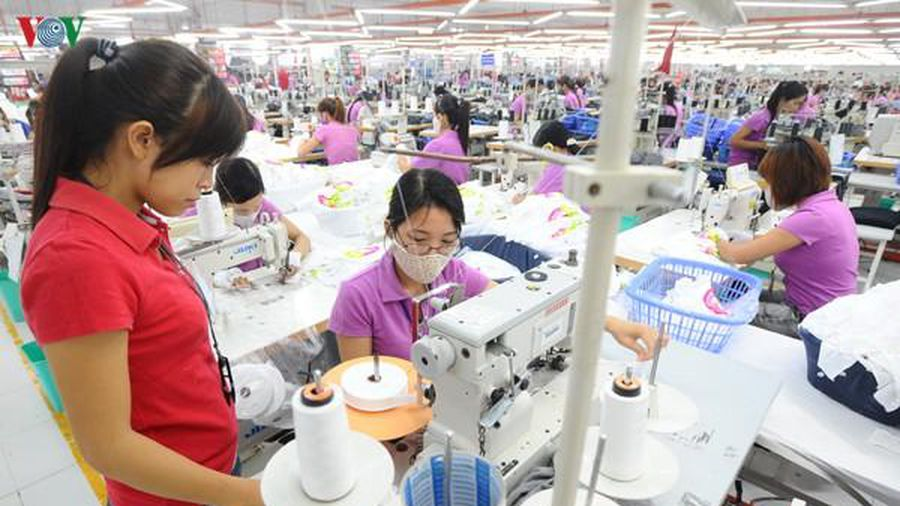 Vietnam- Egypt trade turnover expected to reach US$1 billion in next years 3623 3