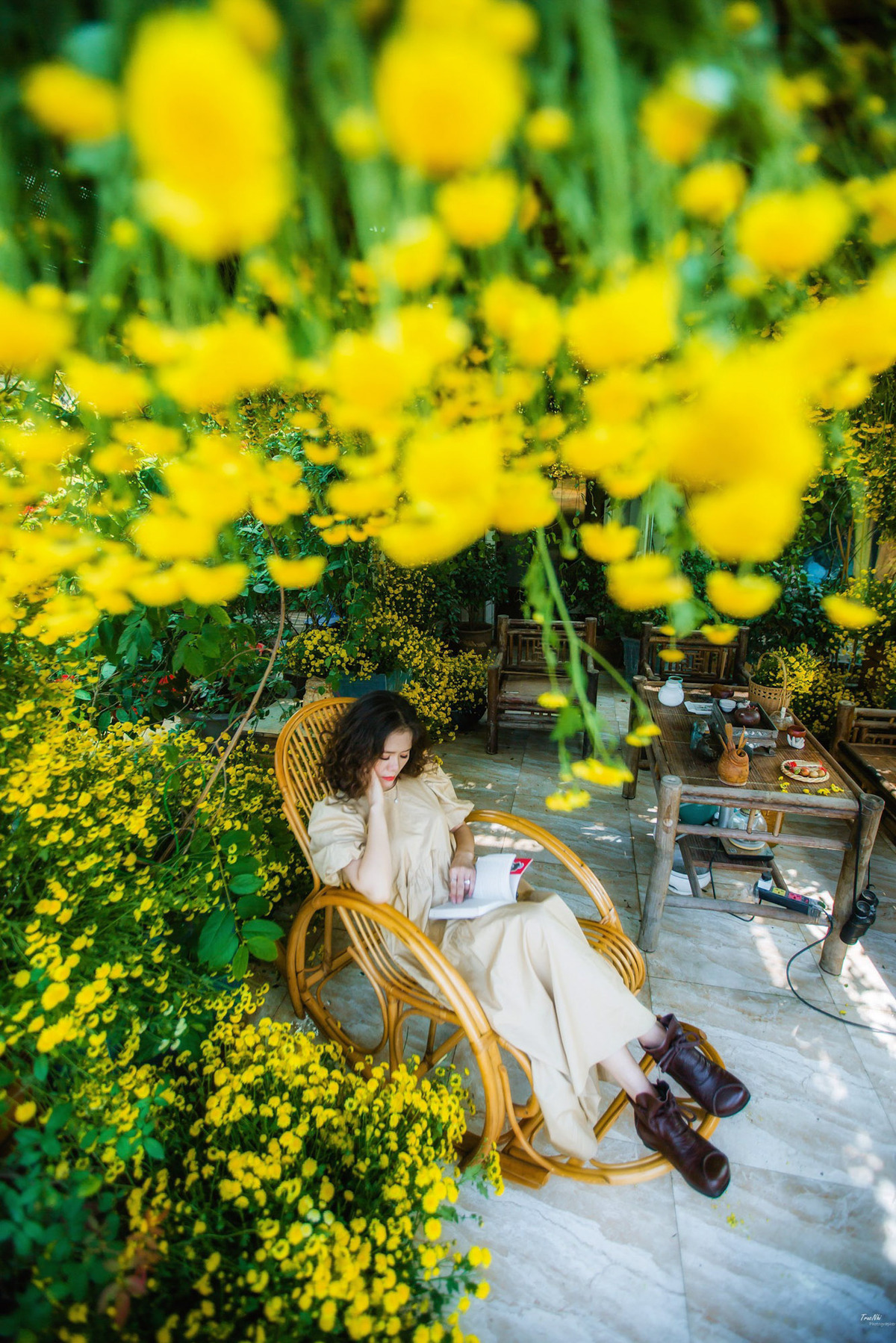 Colorful flower field on terrace of Hanoi woman Colorful flower field on terrace of Hanoi woman