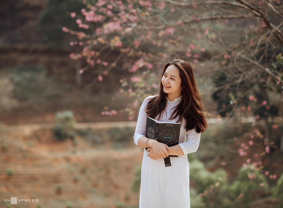 Da Lat blanketed in pink of blooming cherry blossoms Da Lat blanketed in pink of blooming cherry blossoms