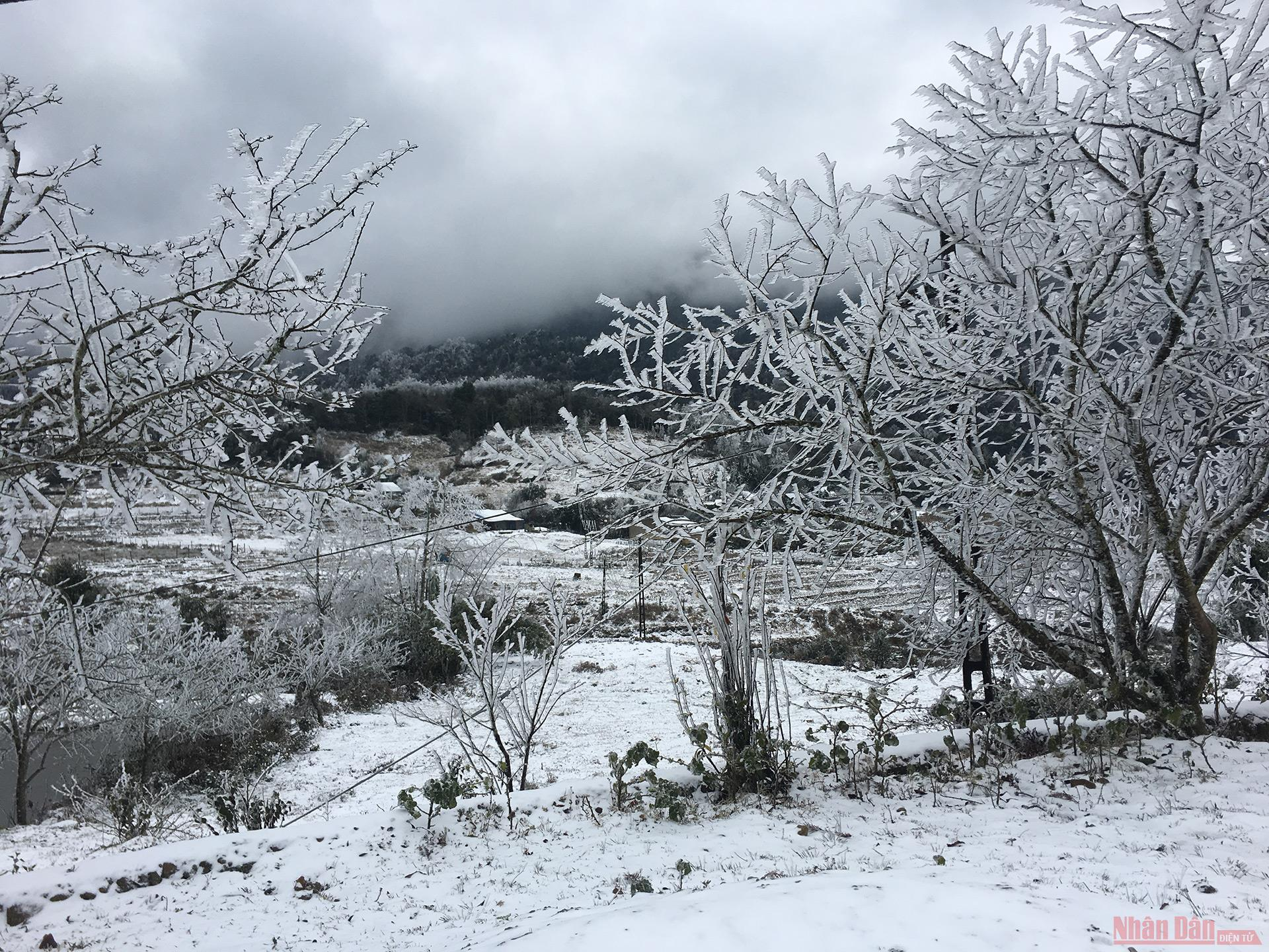 Northern Vietnam mountains engulfed in white snow Northern Vietnam mountains engulfed in white snow