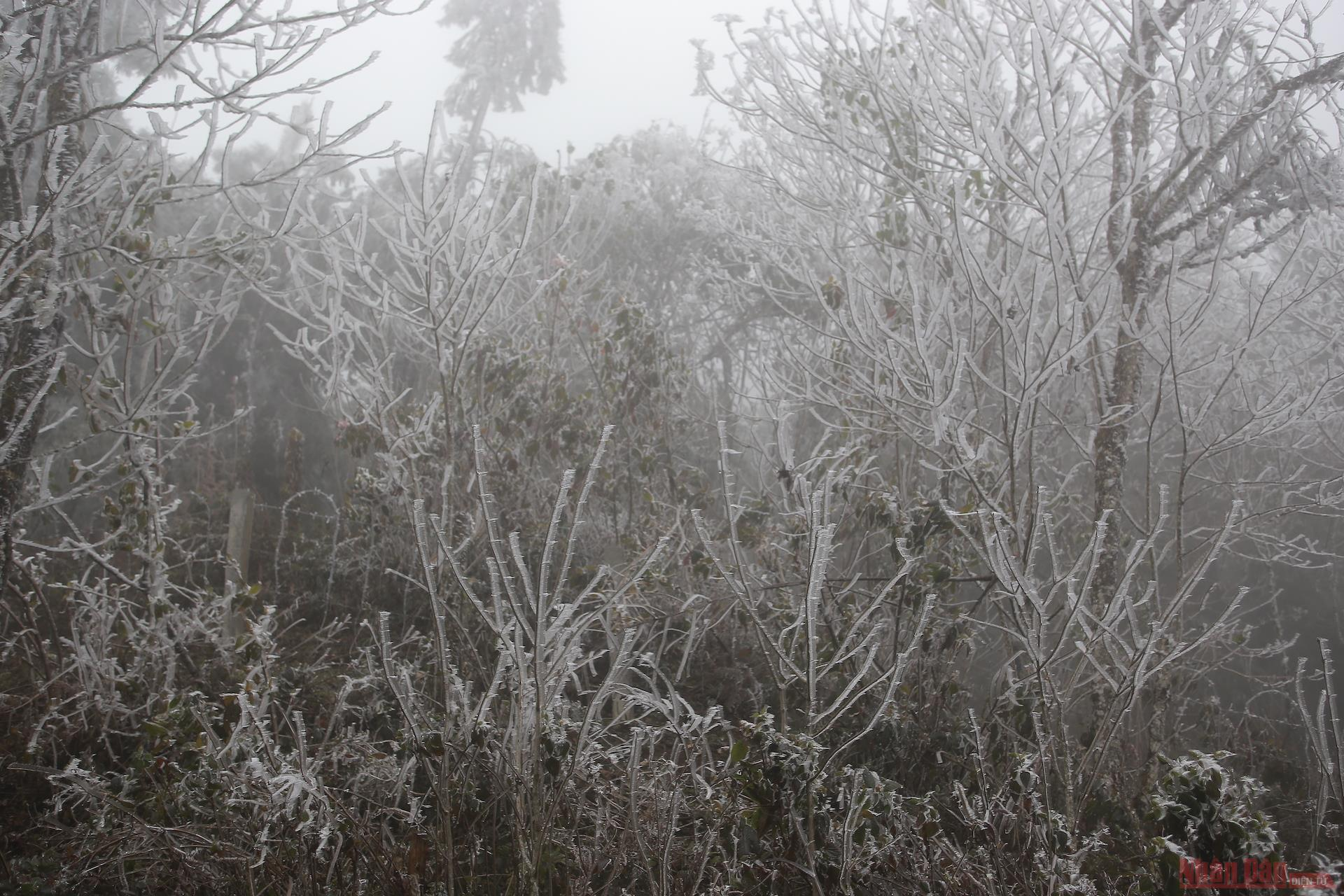 Northern Vietnam mountains engulfed in white snow Northern Vietnam mountains engulfed in white snow