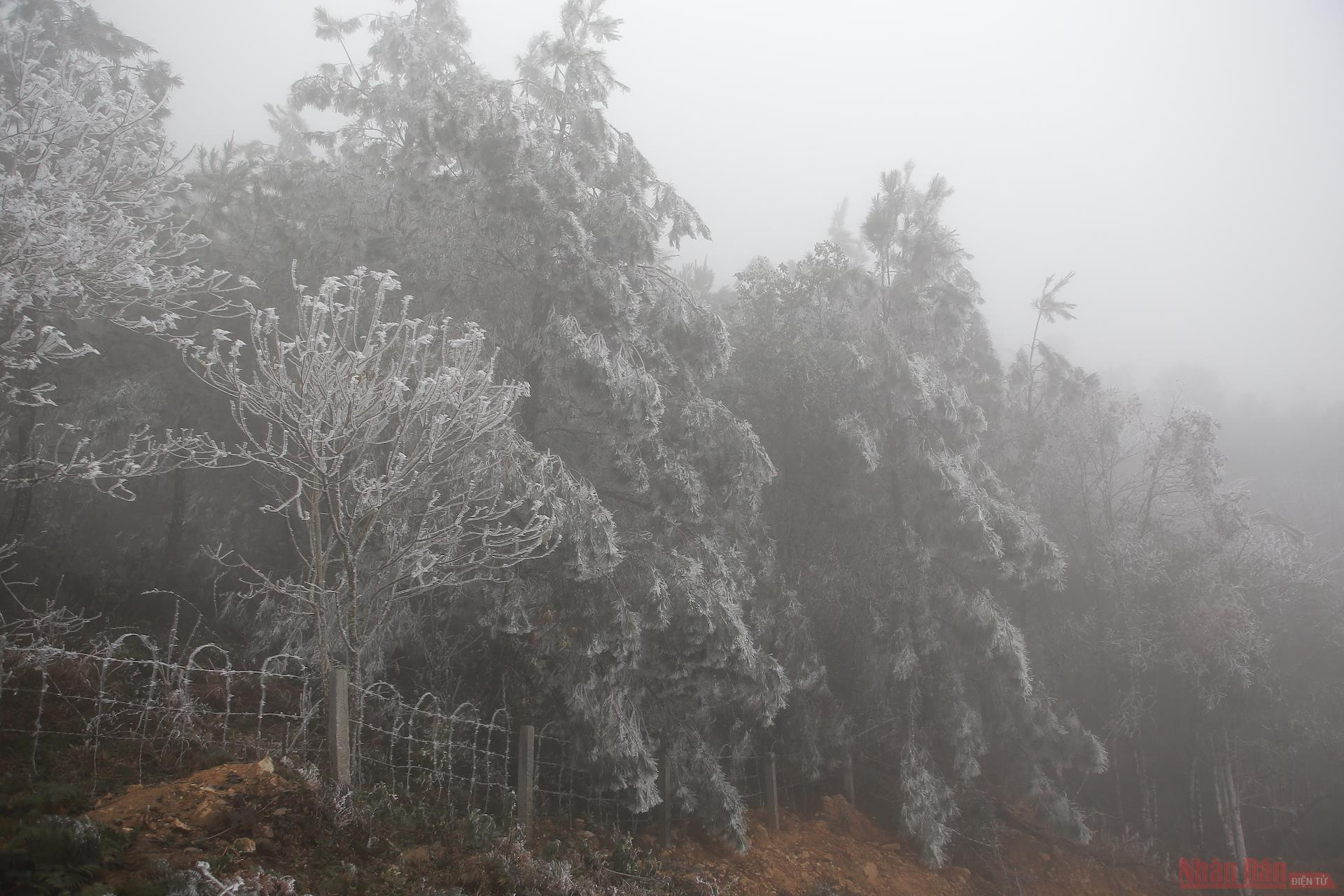 Northern Vietnam mountains engulfed in white snow Northern Vietnam mountains engulfed in white snow