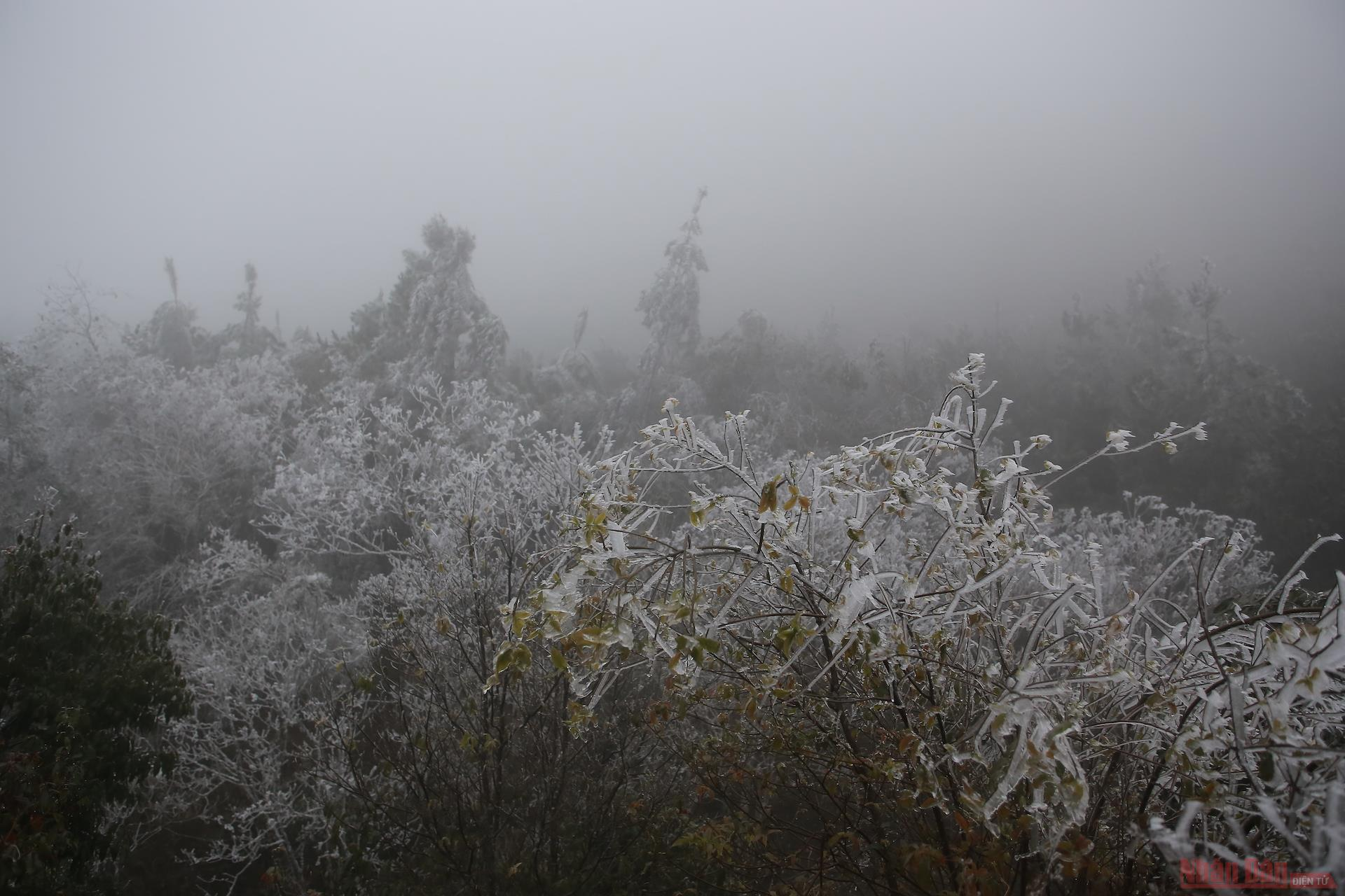 Northern Vietnam mountains engulfed in white snow Northern Vietnam mountains engulfed in white snow