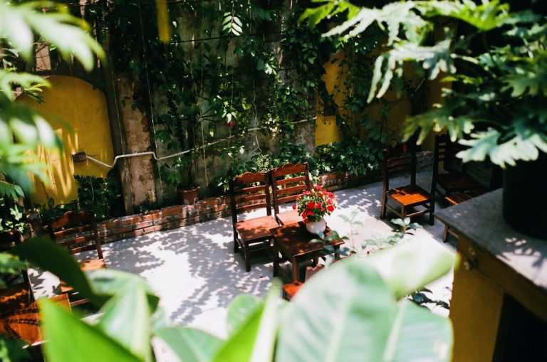 Cafe inside 90-year-old house allures visitors with nostalgic ambiance Cafe inside 90-year-old house allures visitors with nostalgic ambiance