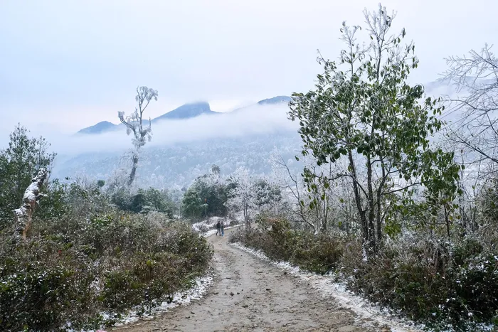 Video: Tourists excited at snowy “Europe-like” scene in Vietnam Northern mountains Video: Tourists excited at snowy “Europe-like” scene in Vietnam Northern mountains
