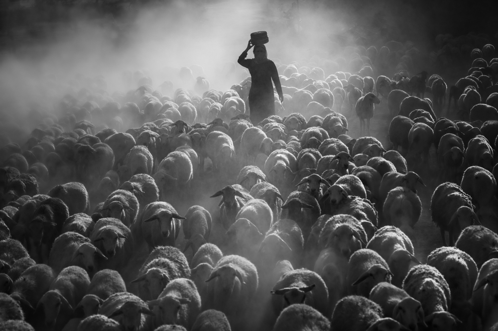Two Vietnamese photographers claim prizes at Int’l Monochrome Awards 2020 Two Vietnamese photographers claim prizes at Int’l Monochrome Awards 2020