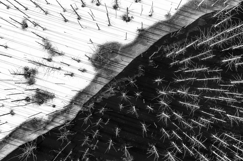 Two Vietnamese photographers claim prizes at Int’l Monochrome Awards 2020 Two Vietnamese photographers claim prizes at Int’l Monochrome Awards 2020