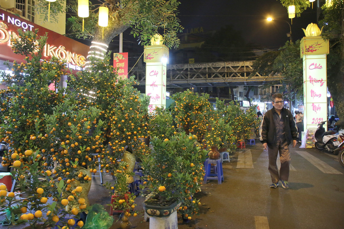Tet flower markets in Hanoi Old Quarter deserted due to Covid-19, in photos Tet flower markets in Hanoi Old Quarter deserted due to Covid-19, in photos