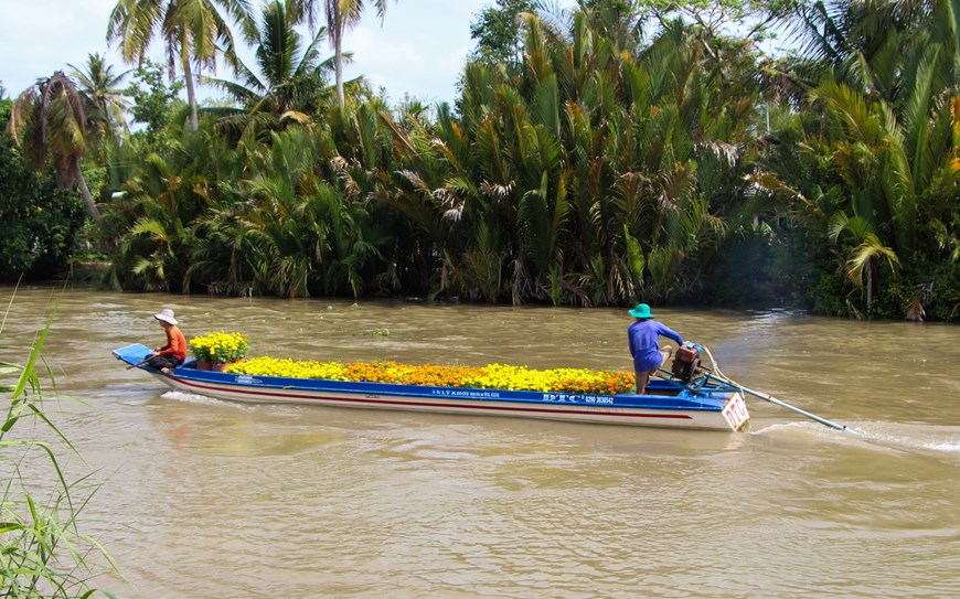 Picturesque scene at Vietnam’s famous flower villages ahead of Tet Picturesque scene at Vietnam’s famous flower villages ahead of Tet