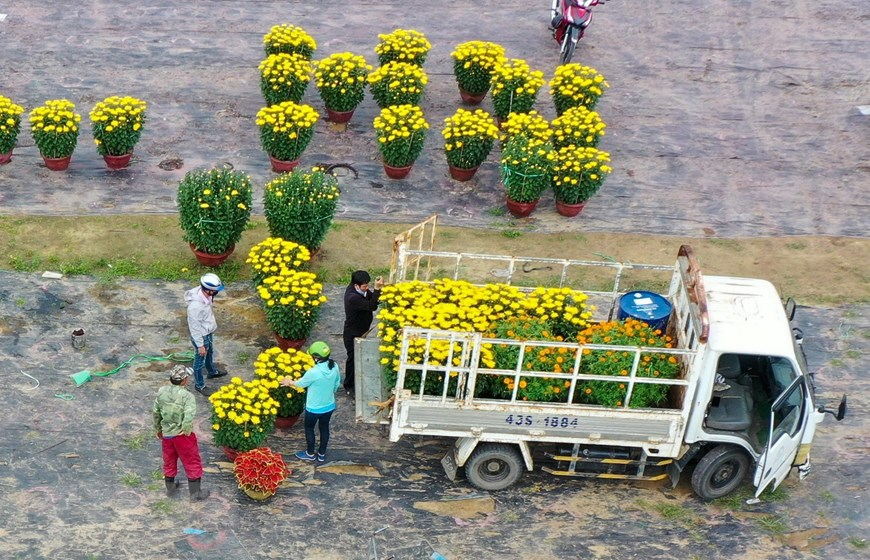 Picturesque scene at Vietnam’s famous flower villages ahead of Tet Picturesque scene at Vietnam’s famous flower villages ahead of Tet