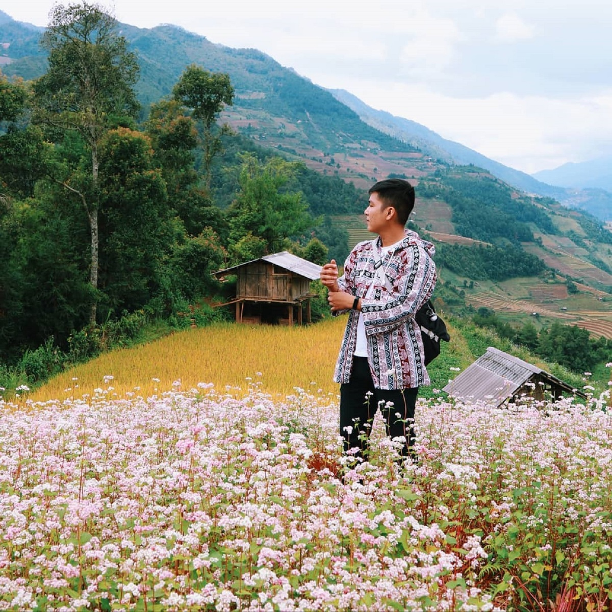 Flower season across Vietnam under the lens of local photographer Flower season across Vietnam under the lens of local photographer
