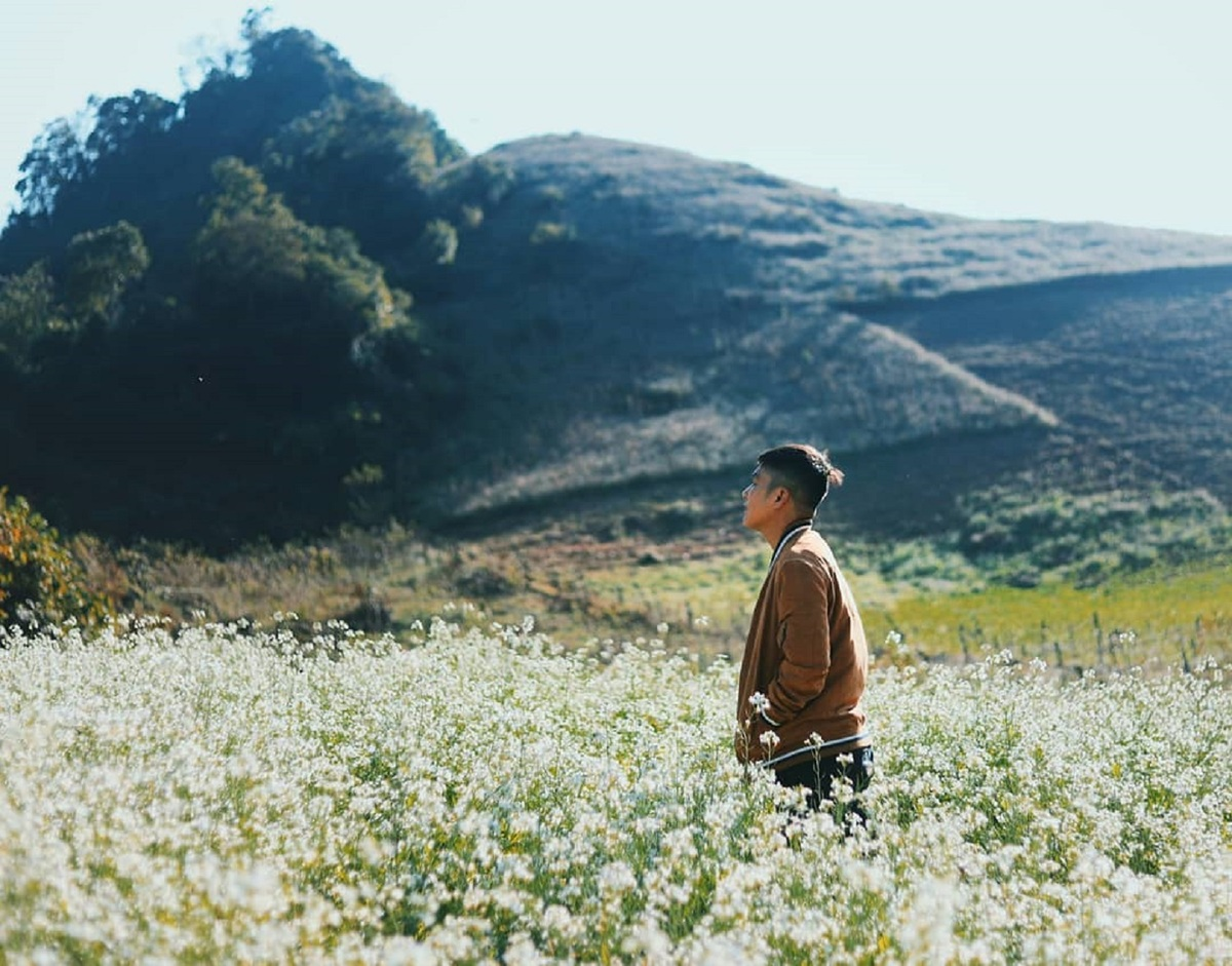 Flower season across Vietnam under the lens of local photographer Flower season across Vietnam under the lens of local photographer