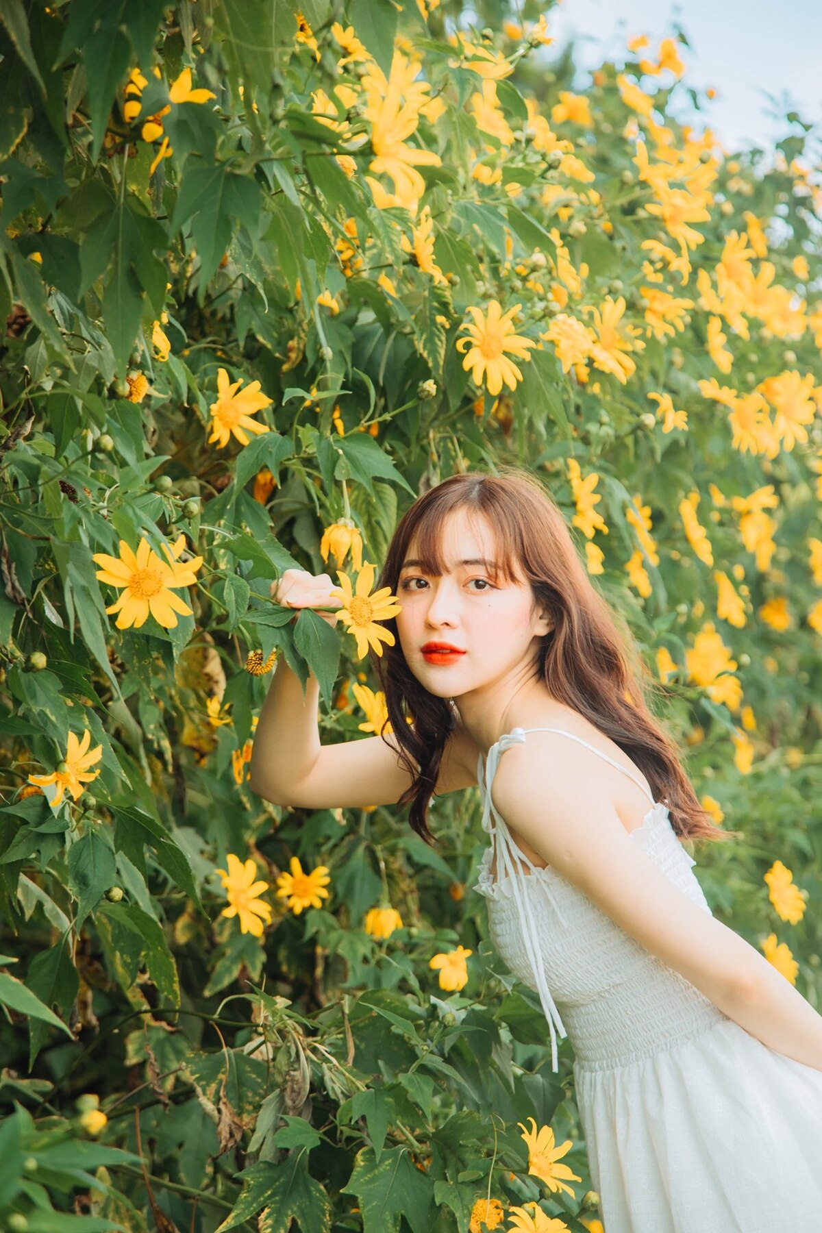 Flower season across Vietnam under the lens of local photographer Flower season across Vietnam under the lens of local photographer