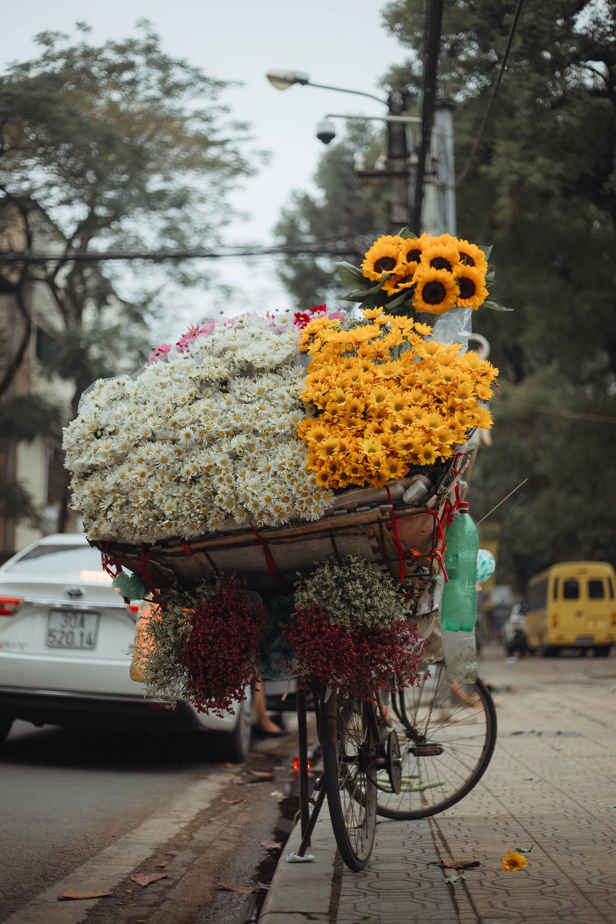 Flower season across Vietnam under the lens of local photographer Flower season across Vietnam under the lens of local photographer