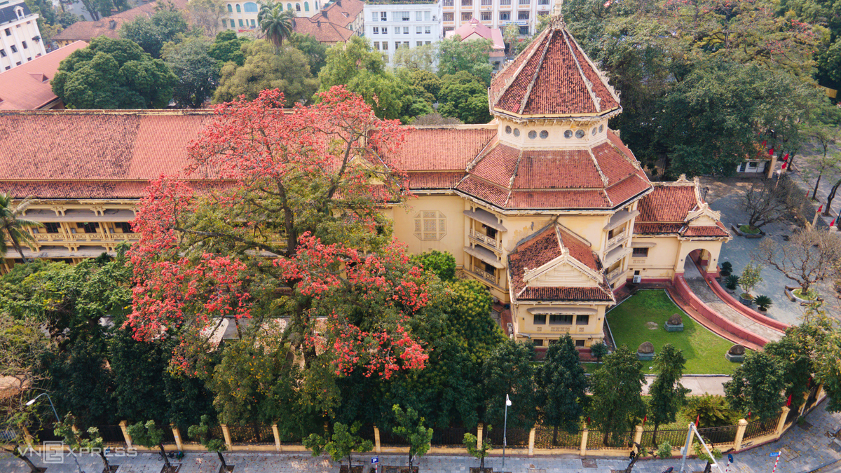 Hanoi dyed in red of silk cotton flowers Hanoi dyed in red of silk cotton flowers