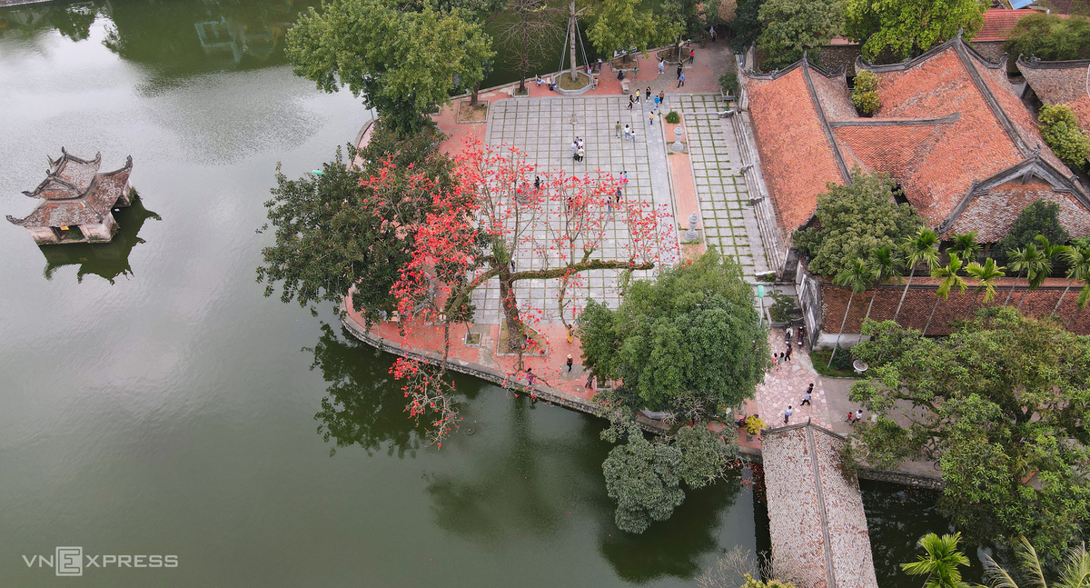 Hanoi dyed in red of silk cotton flowers Hanoi dyed in red of silk cotton flowers