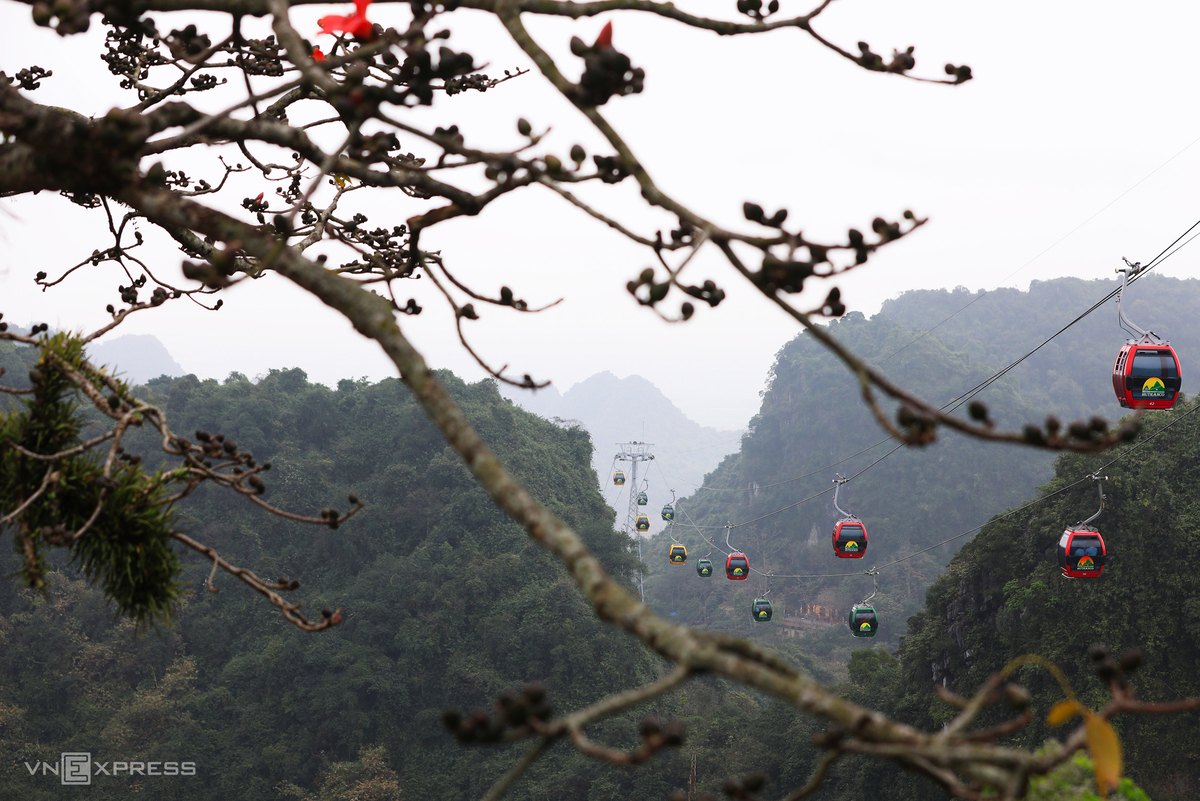 Hanoi dyed in red of silk cotton flowers Hanoi dyed in red of silk cotton flowers