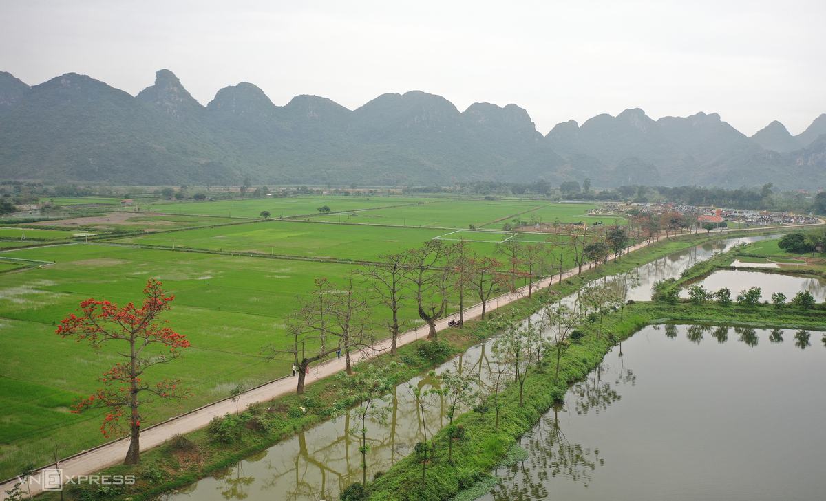 Hanoi dyed in red of silk cotton flowers Hanoi dyed in red of silk cotton flowers