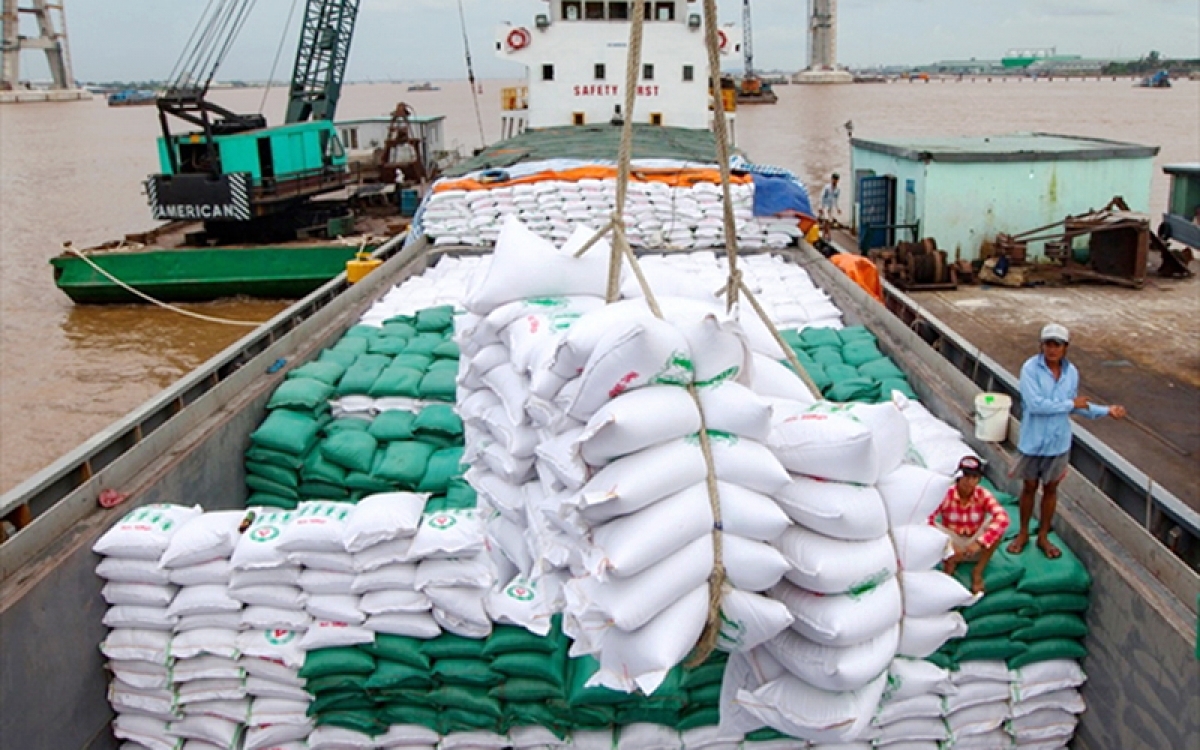 Vietnam’s rice exports to Thailand enjoy sharp increase Vietnam’s rice exports to Thailand enjoy sharp increase