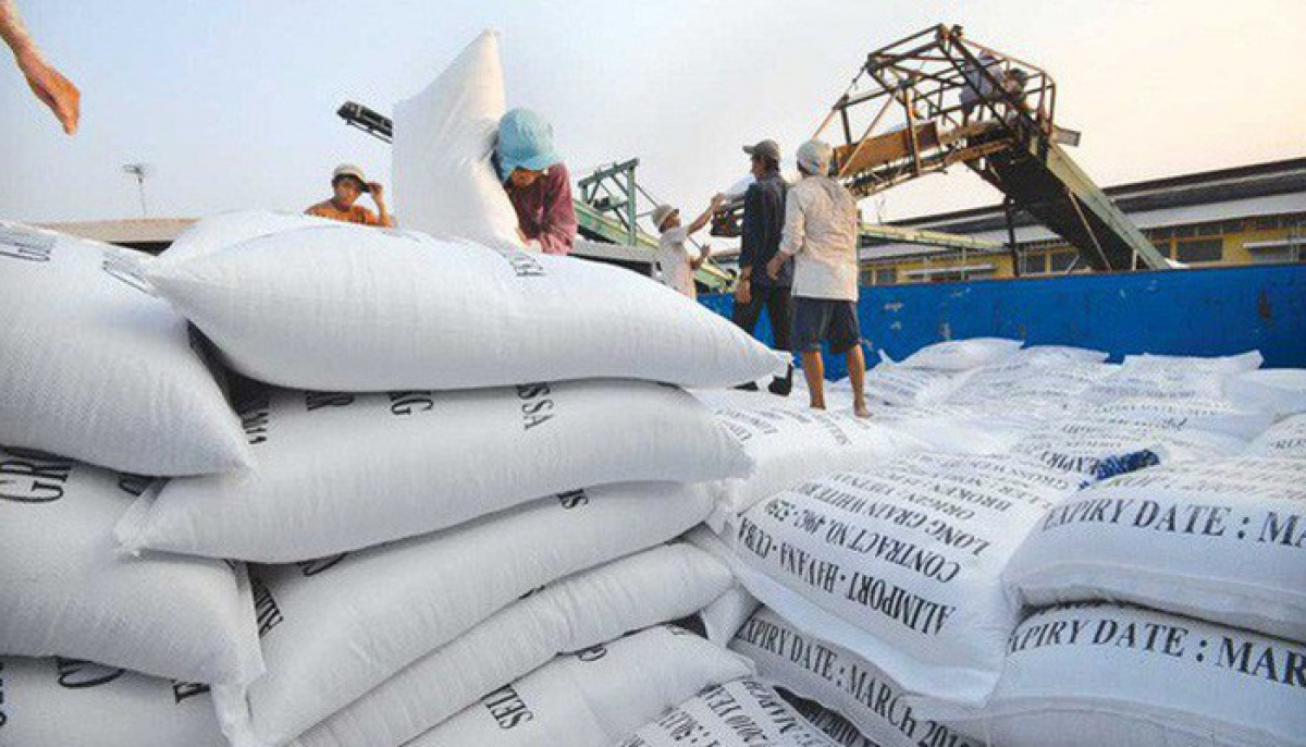 Philippines becomes Vietnam's largest rice importer Philippines becomes Vietnam's largest rice importer
