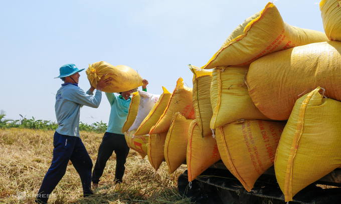 Philippines becomes Vietnam's largest rice importer Philippines becomes Vietnam's largest rice importer