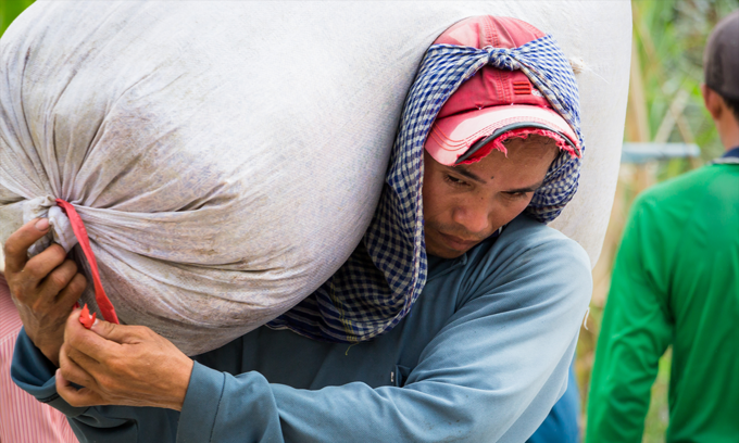 Philippines becomes Vietnam's largest rice importer Philippines becomes Vietnam's largest rice importer