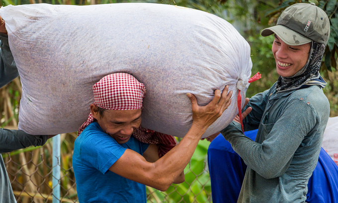 Vietnam's rice exporters urged to utilize FTAs to boost shipments Vietnam's rice exporters urged to utilize FTAs to boost shipments