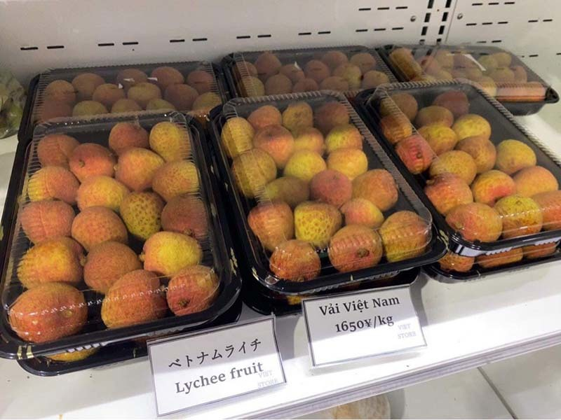 Vietnamese lychees hit shelves at supermarkets in Japan Vietnamese lychees hit shelves at supermarkets in Japan