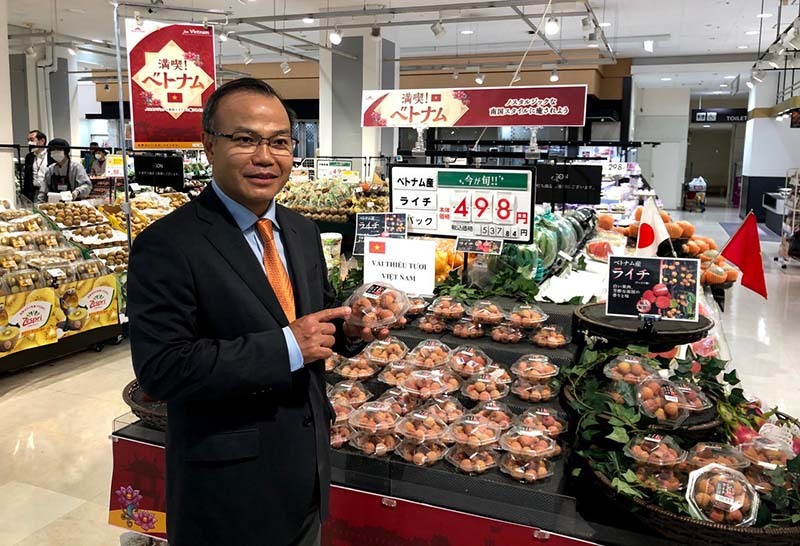 Vietnamese lychees hit shelves at supermarkets in Japan Vietnamese lychees hit shelves at supermarkets in Japan