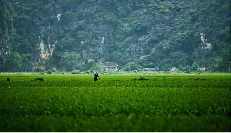 Ninh Binh looked a wonderland through the lens of foreign visitors ninh binh as stunning as dream land through the lens of foreign visitors
