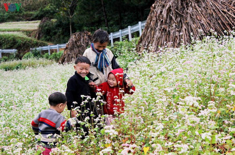 Hospitality of ethnic people on Ha Giang rocky plateau the hospitality of ethnic people on ha giang rocky plateau