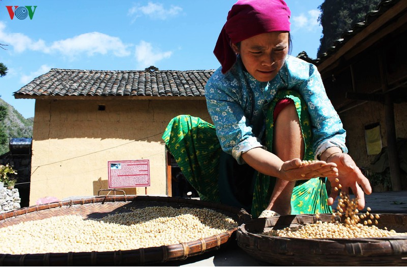 Hospitality of ethnic people on Ha Giang rocky plateau the hospitality of ethnic people on ha giang rocky plateau
