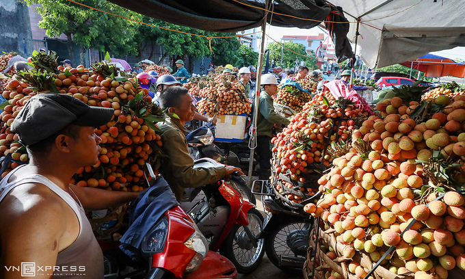 Vietnamese lychees hit Singapore shelves Vietnamese lychees hit Singapore shelves