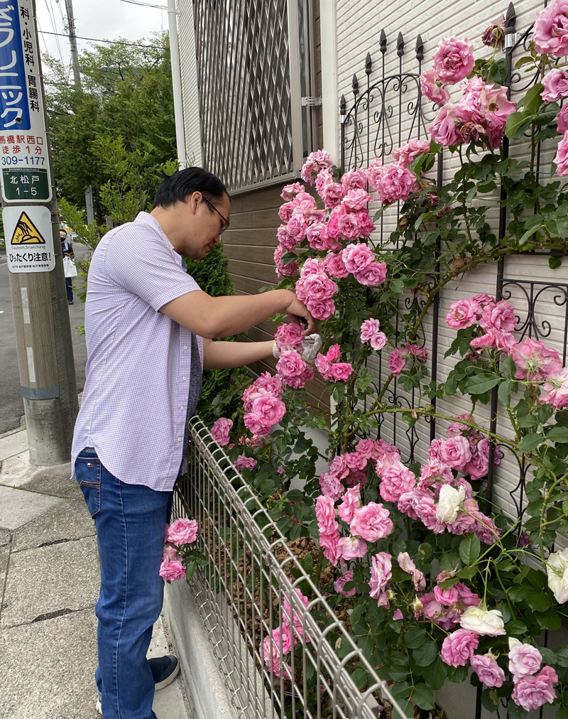 Gorgeous rose garden of Vietnamese doctor in Japan Gorgeous rose garden of Vietnamese doctor in Japan