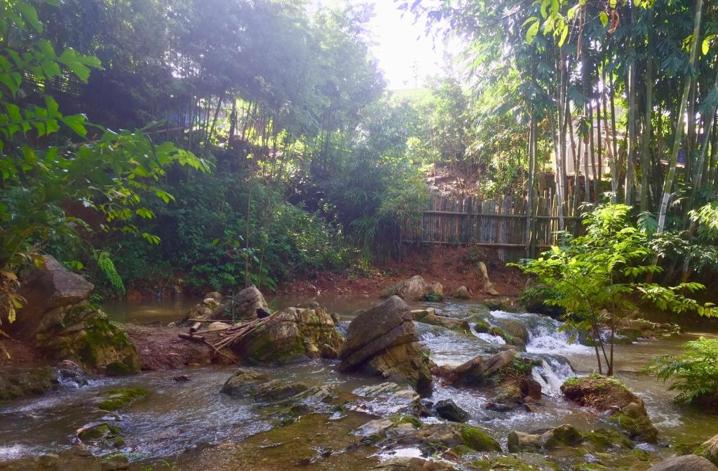 3 top places in Moc Chau to beat the summer heat Top 3 places in Moc Chau to beat the summer heat