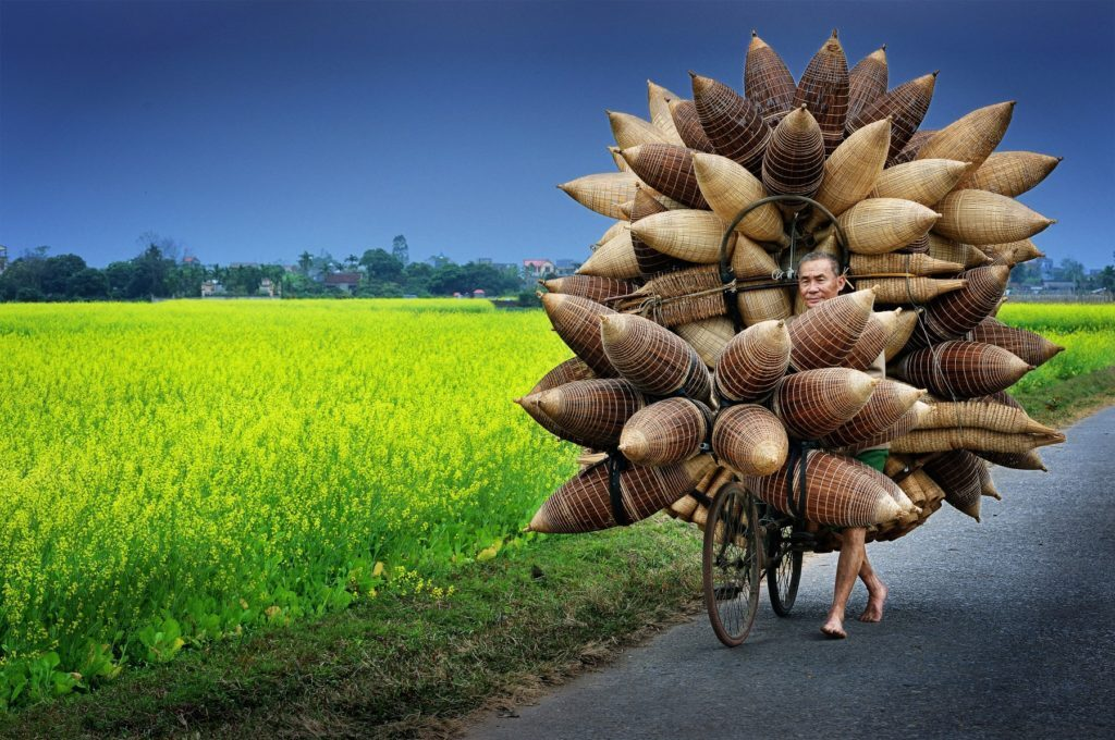 Water lily harvest shot by Vietnamese photographer wins international prize Water lily harvest shot by Vietnamese photographer wins international prize