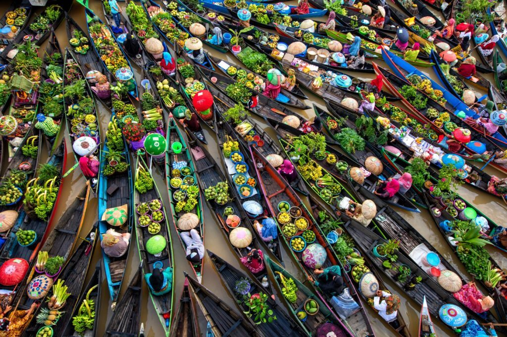 Water lily harvest shot by Vietnamese photographer wins international prize Water lily harvest shot by Vietnamese photographer wins international prize