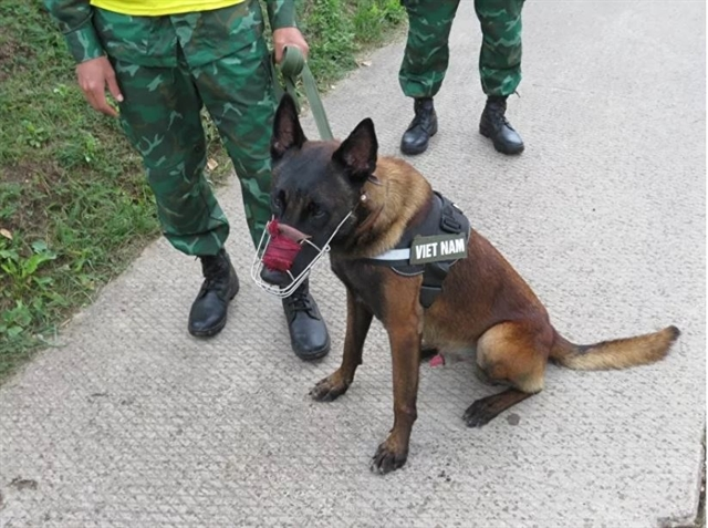 Vietnamese team gears up for Int'l Army Games 2021 Vietnamese team gears up for Int'l Army Games 2021
