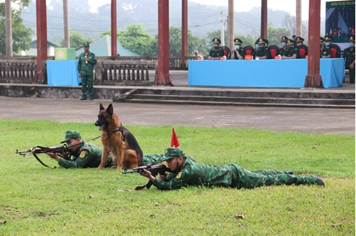 Vietnamese team gears up for Int'l Army Games 2021 Vietnamese team gears up for Int'l Army Games 2021