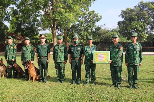 Vietnamese team gears up for Int'l Army Games 2021 Vietnamese team gears up for Int'l Army Games 2021
