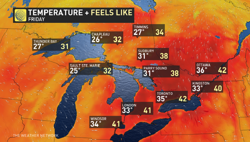 undefined 2330 8 the weather network