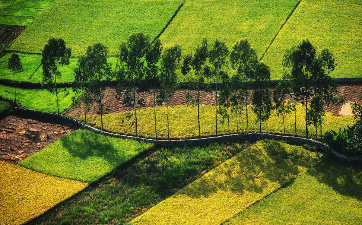 undefined 0152 vne