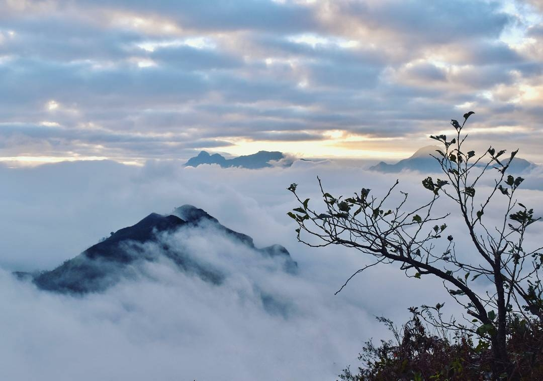 undefined 4706 vietnammoi