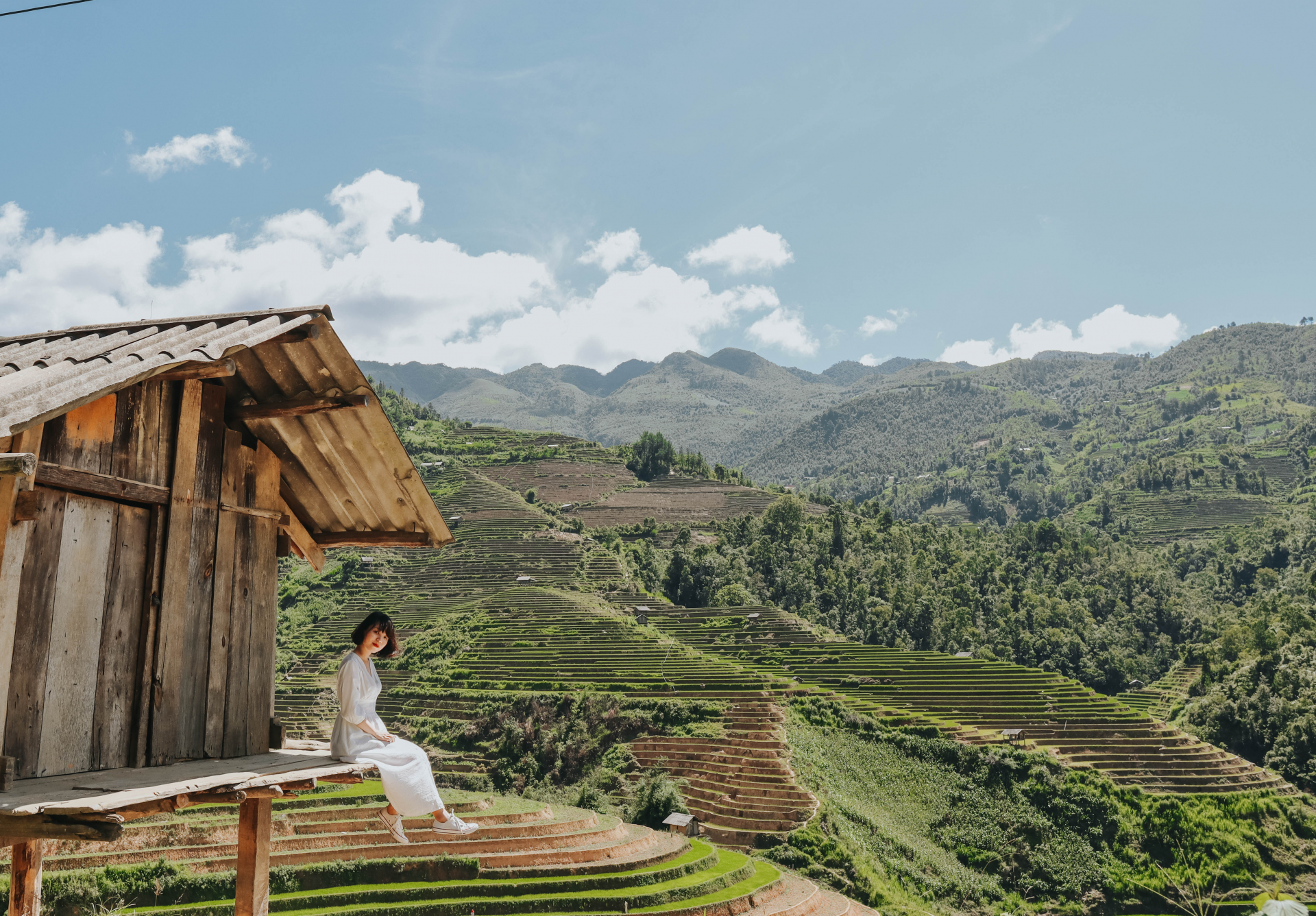Sublime verdant terraced fields in northwestern Vietnam sublime verdant green terraced fields in northwestern vietnam
