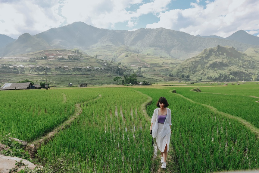 Sublime verdant terraced fields in northwestern Vietnam sublime verdant green terraced fields in northwestern vietnam