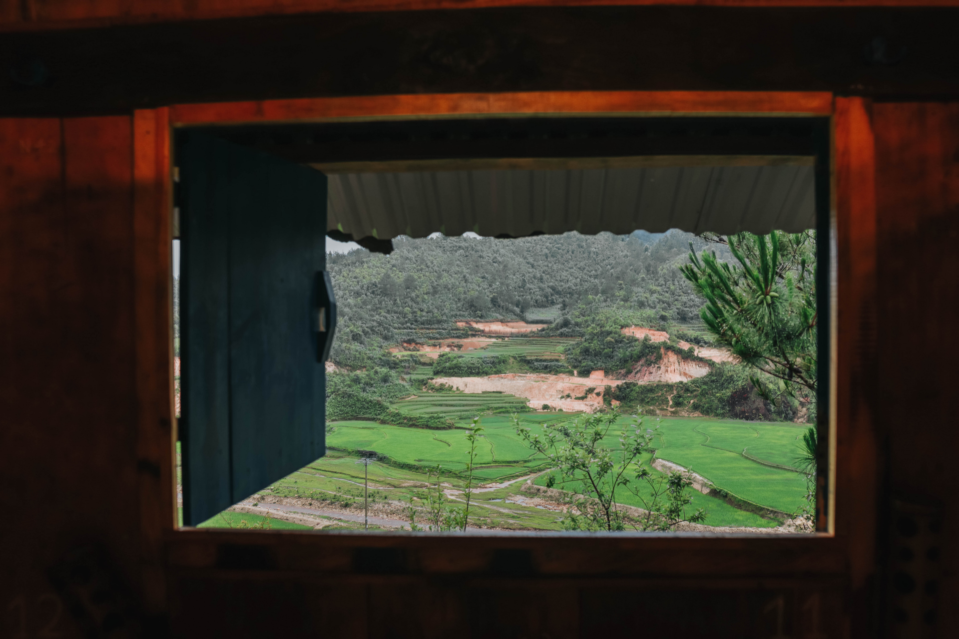 Sublime verdant terraced fields in northwestern Vietnam sublime verdant green terraced fields in northwestern vietnam