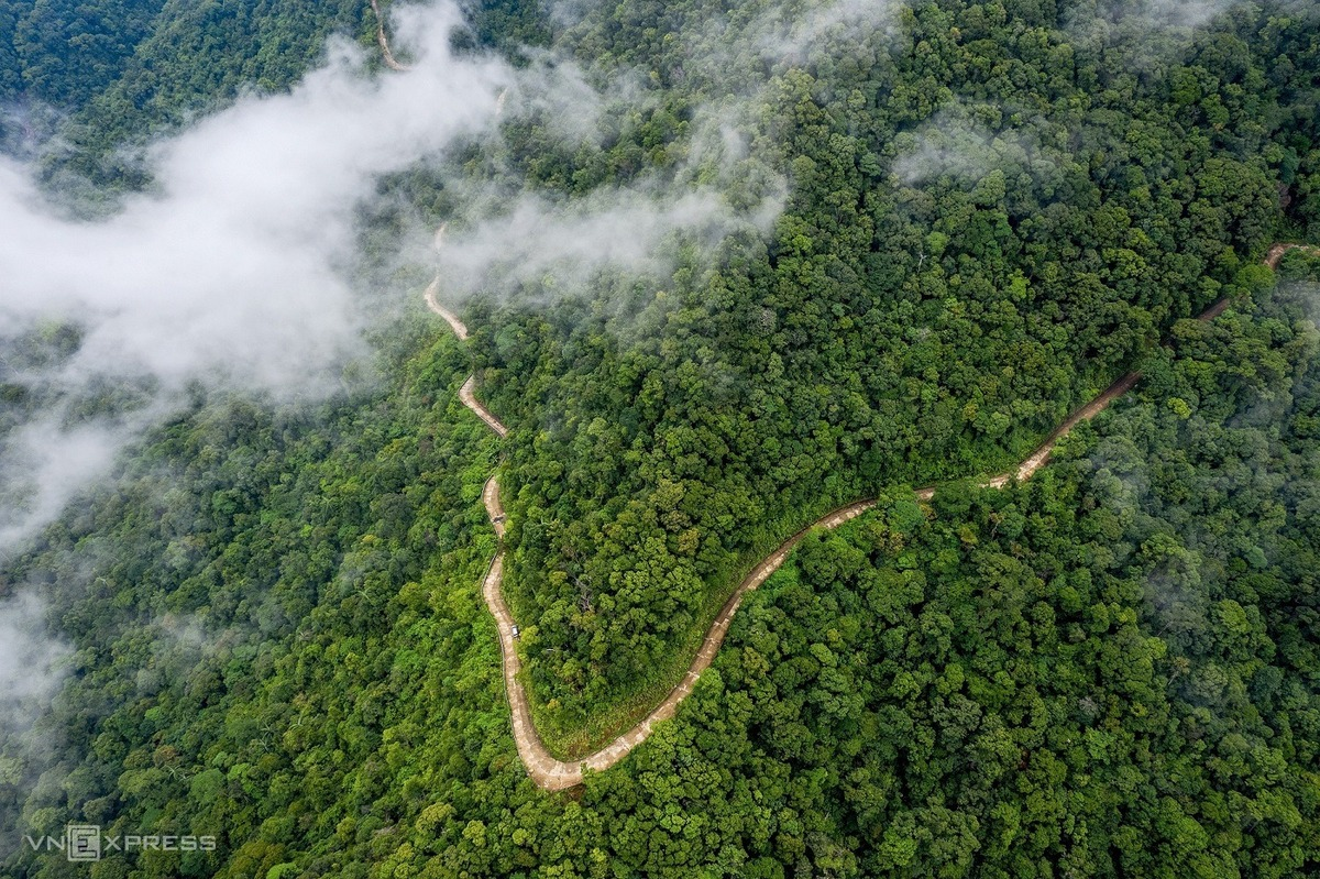 surfing the clouds on bach ma mountain peak